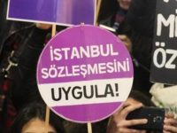 TİHEK’ten Gelen Bilgi Talebine İlişkin KİH-YÇ ve Mor Çatı Olarak İlettiğimiz Ortak Görüşümüz